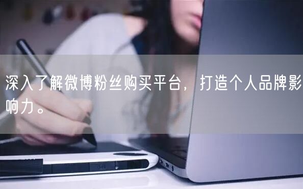 深入了解微博粉丝购买平台，打造个人品牌影响力。
