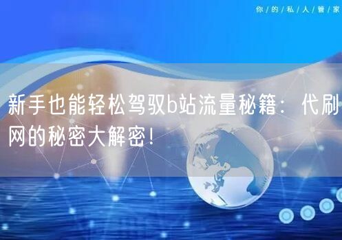 新手也能轻松驾驭b站流量秘籍：代刷网的秘密大解密！